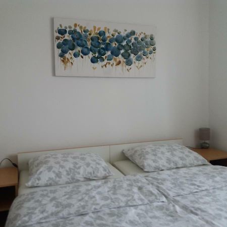 Apartment Hinic Vrhovine Exterior photo